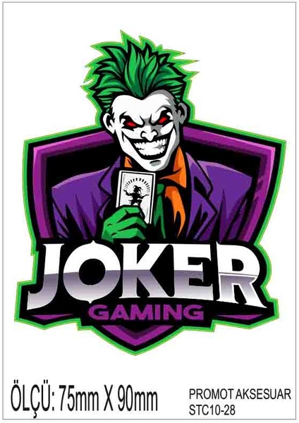 Motorsiklet Otomobil Sticker 2 Adet 028