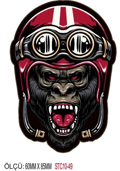 Motorsiklet Otomobil Sticker 2 Adet 049