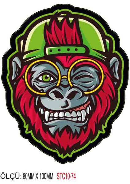 Motorsiklet Otomobil Sticker 2 Adet 074