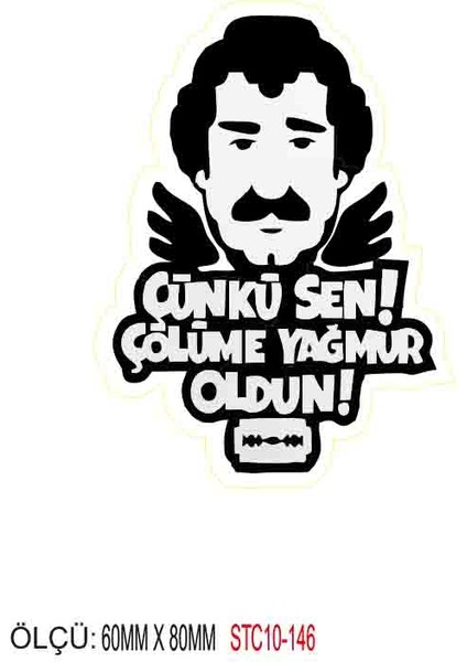 Motorsiklet Otomobil Sticker 2 Adet 142