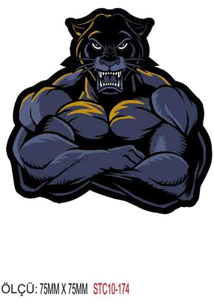 Motorsiklet Otomobil Sticker 2 Adet 170