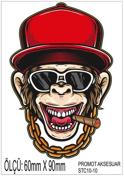 Motorsiklet Otomobil Sticker 2 Adet 010