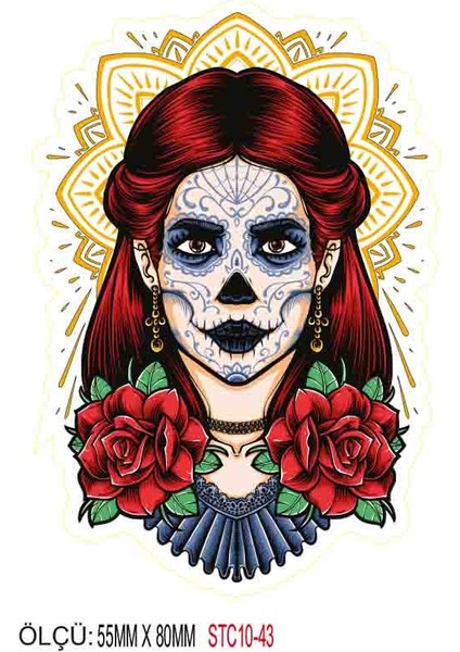 Motorsiklet Otomobil Sticker 2 Adet 043