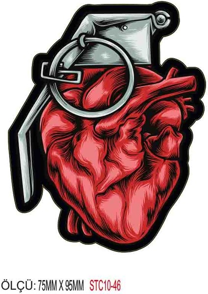 Motorsiklet Otomobil Sticker 2 Adet 046