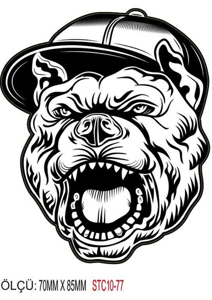 Motorsiklet Otomobil Sticker 2 Adet 077