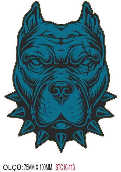 Motorsiklet Otomobil Sticker 2 Adet 109