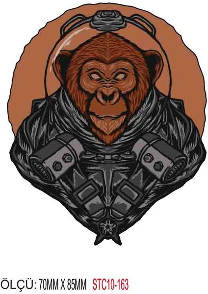 Motorsiklet Otomobil Sticker 2 Adet 159