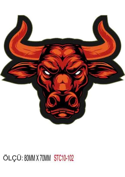 Motorsiklet Otomobil Sticker 2 Adet 099