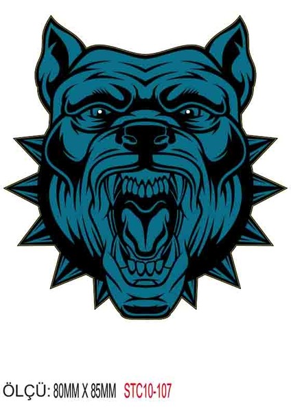 Motorsiklet Otomobil Sticker 2 Adet 103