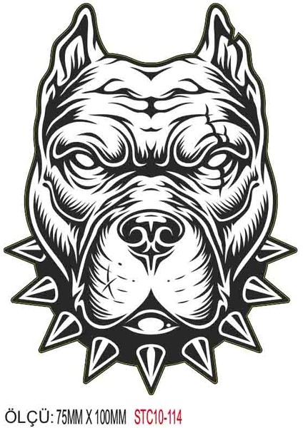 Motorsiklet Otomobil Sticker 2 Adet 110