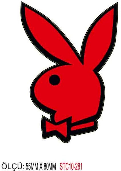 Motorsiklet Otomobil Sticker 2 Adet 279