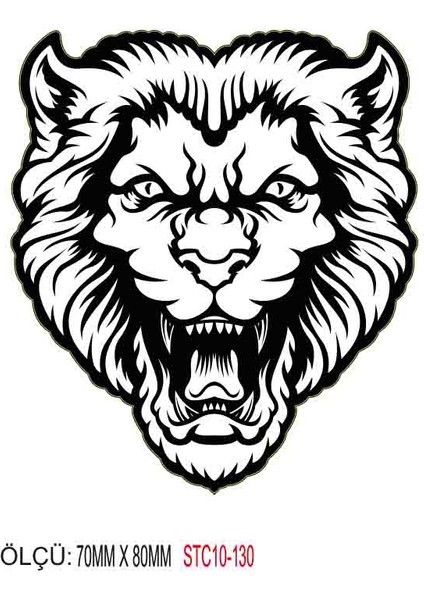 Motorsiklet Otomobil Sticker 2 Adet 126