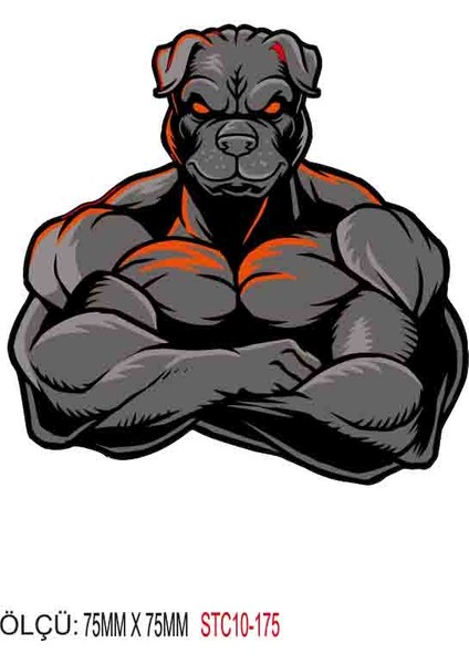 Motorsiklet Otomobil Sticker 2 Adet 171