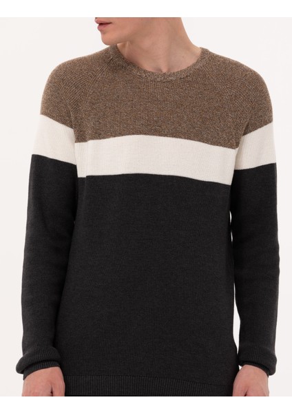 Erkek Kahverengi Slim Fit Bisiklet Yaka Triko Kazak 50259863-VR163