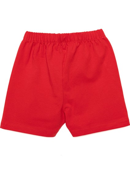 Basic Şort Kız Bebek