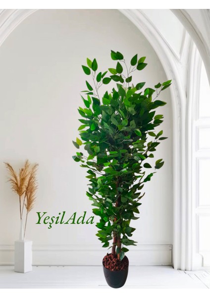 Yapay Benjamin Ağacı 1.50 mt Boy Ficus Benjamia Canlı Doku