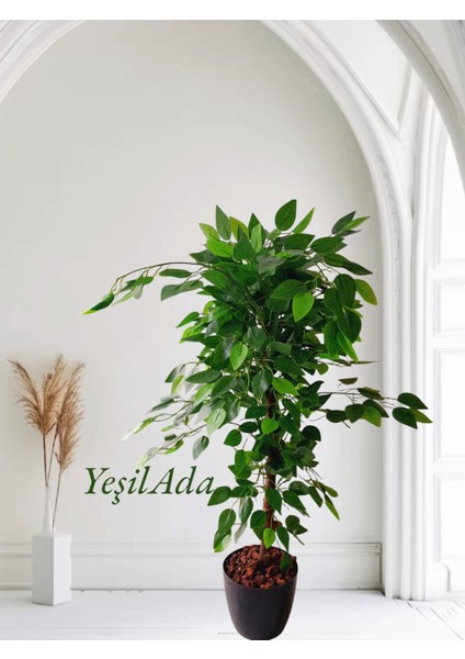Yapay Benjamin Ağacı 1 mt Boy Ficus Benjamina Doğal Gövde Gerçek Görünüm