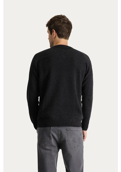 Bisiklet Yaka Slim Fit Dar Kesim Dikişsiz Desenli Yünlü Triko Kazak