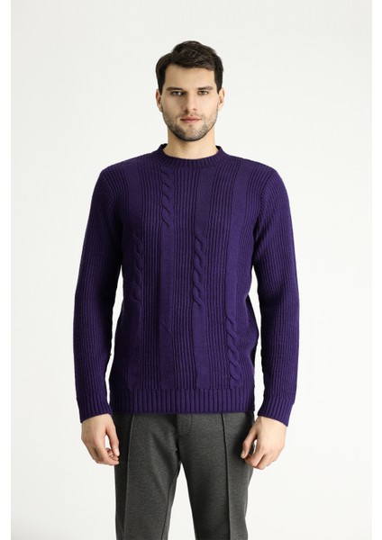 Bisiklet Yaka Slim Fit Dar Kesim Desenli Triko Kazak fırsatları