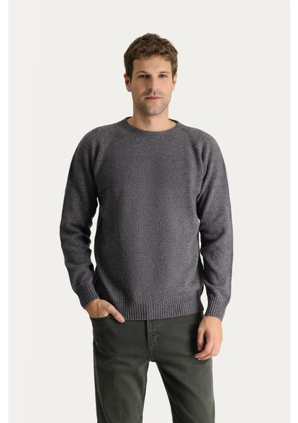 Bisiklet Yaka Slim Fit Dar Kesim Dikişsiz Desenli Yünlü Triko Kazak modelleri