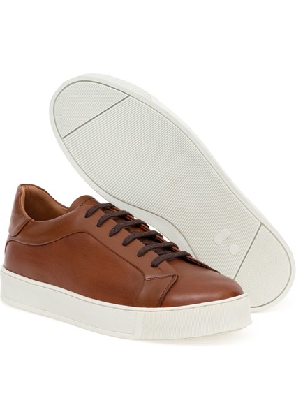 Erkek Taba Casual Ayakkabı 50267881-VR099