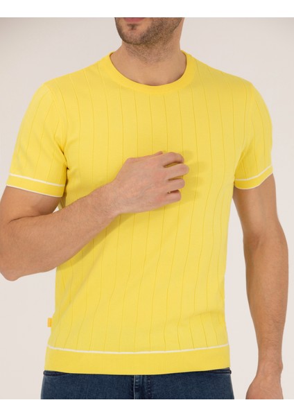Erkek Açık Sarı Slim Fit Bisiklet Yaka Triko Tişört 50268875-VR004
