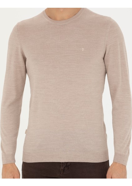 Erkek Taş Slim Fit Bisiklet Yaka Yün Karışımlı Basic Triko Kazak 50270054-VR049