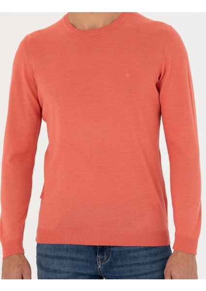 Erkek Somon Slim Fit Bisiklet Yaka Yün Karışımlı Basic Triko Kazak 50270054-VR047