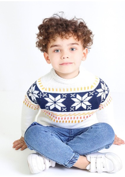 Erkek Çocuk Regular Fit Bisiklet Yaka Triko Kazak