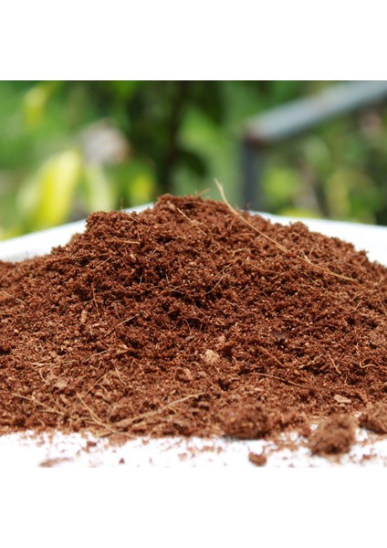 4 Adet 2,5 Litre Çiçek ve Bitki Yetiştirme Toprağı Cocopeat Ponza Katkılı İç ve Dış Mekan Kokopit