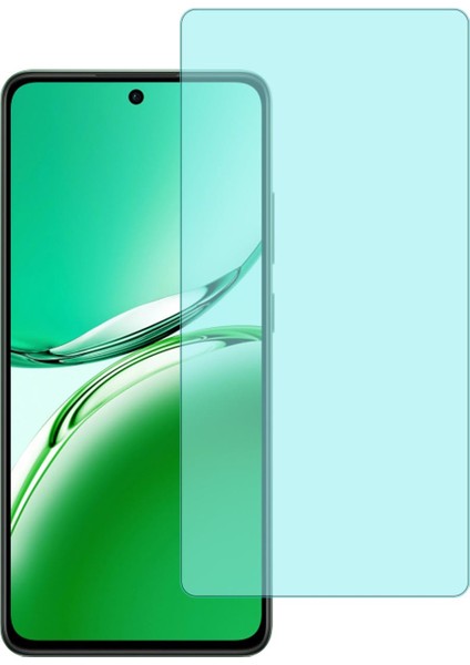 Oppo RENO11 Fs Uyumlu Ekran Koruyucu Nano Cam 2 Adet