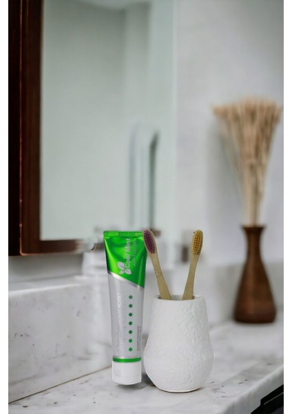 Diş Fırçası Kabı Diş Fırçalığı Fırçalık Siyah Renk Model 15