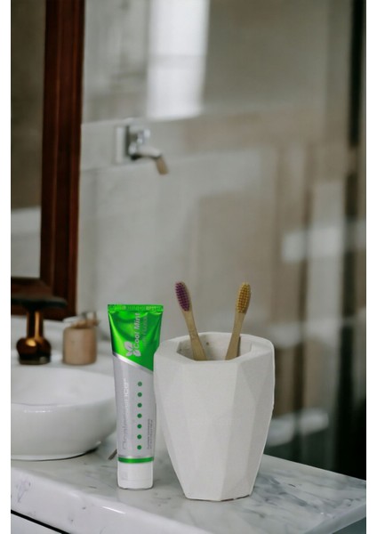 Diş Fırçası Kabı Diş Fırçalığı Fırçalık Siyah Renk Model 19