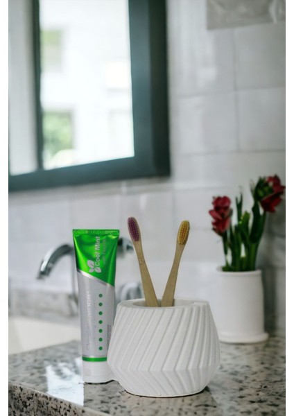 Diş Fırçası Kabı Diş Fırçalığı Fırçalık Beyaz Renk Model 21