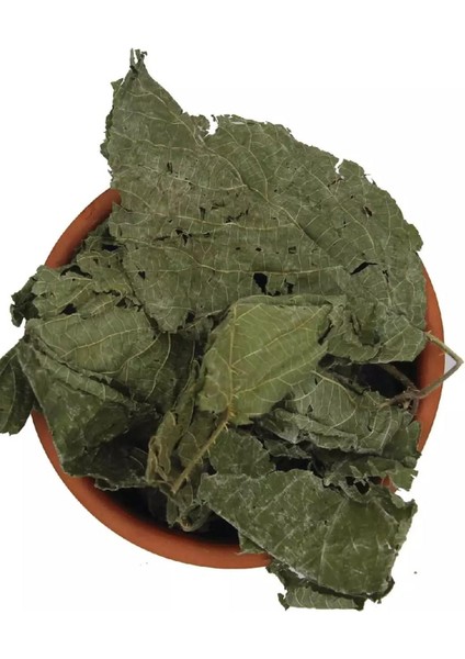 Böğürtlen Yaprağı