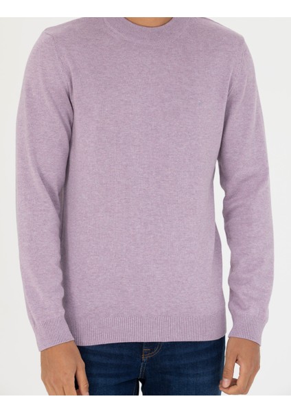 Erkek Koyu Lila Slim Fit Çeyrek Yaka Basic Triko Kazak 50276158-VR215