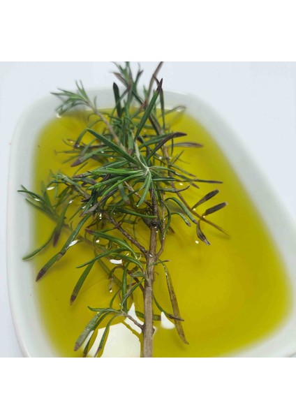 Natürel Sızma Soğuk Sıkım Zeytinyağı 5 lt