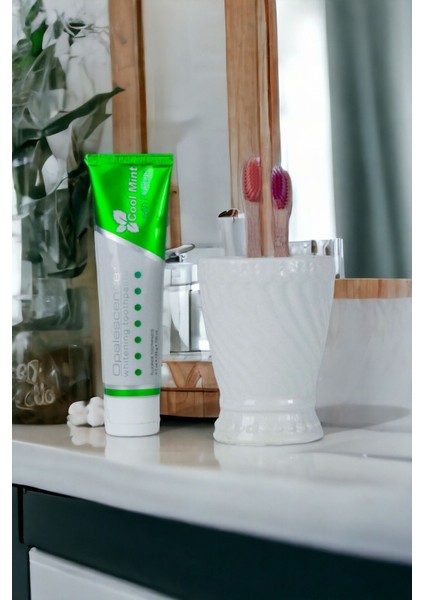 Diş Fırçası Kabı Diş Fırçalığı Fırçalık Gümüş Eskitme Renk Model 14