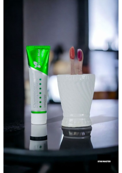 Diş Fırçası Kabı Diş Fırçalığı Fırçalık Gümüş Eskitme Renk Model 14 fiyatları