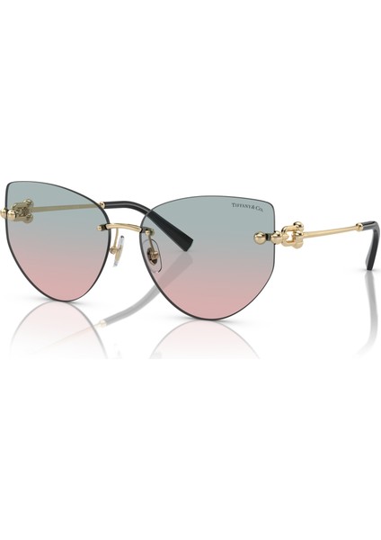 TF3096 62030Q Kadın Güneş Gözlüğü fiyatları