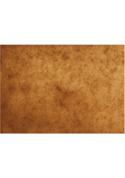 Suluboya Shinhan Pwc 670 Raw Umber (Seri B) 15ML Tüp