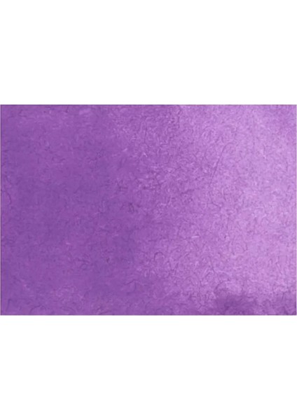 Suluboya Shinhan Pwc 649 Lilac (Seri A) 15ML Tüp