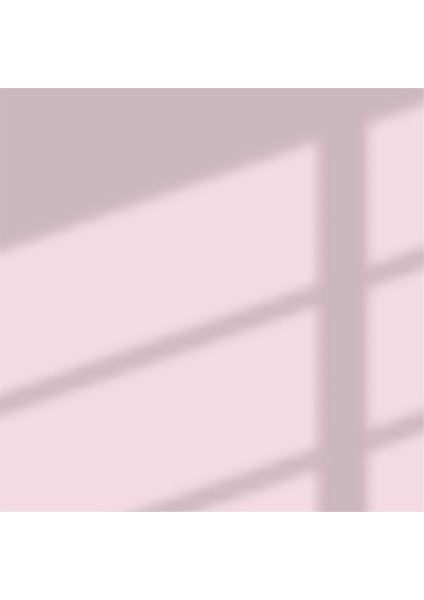 Perla Yarı Mat Antibakteriyel Elegans Pembe - 2,5 L indirimleri