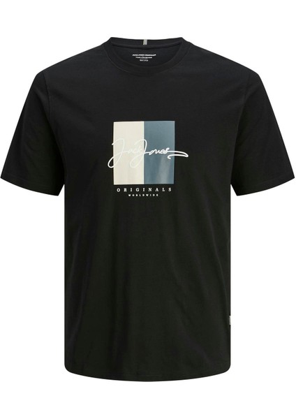 Jorfrederıksberg Box Scrıpt Tee Ss Cn Ln Black
