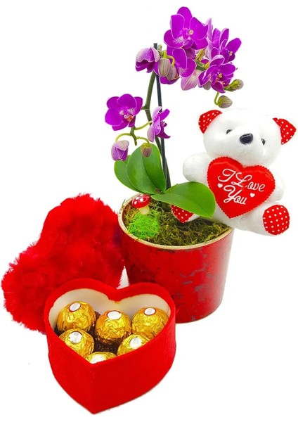 Love You Phalanopsis Orkide ve Mini Ayıcıklı Çikolata & Sevgiliye Hediye & Çiçek Çikolata & Özel Tasarım