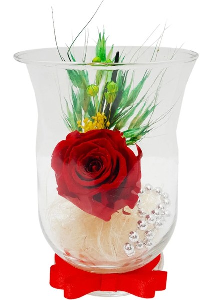 Kadeh Cam Vazoda Kırmızı Solmayan Gül (XL) & Sevgiliye, Anneye Özel Hediye Aşk Home 15 cm