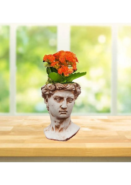 David Beton Saksıda Kalanchoe Pencere Önü Çiçeği Serisi & Hediye Iç Mekan Bitkisi & 15-20 cm