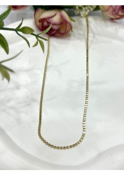 Ezme Ince Zincir Çelik Kolye (14K Gold - 60CM)
