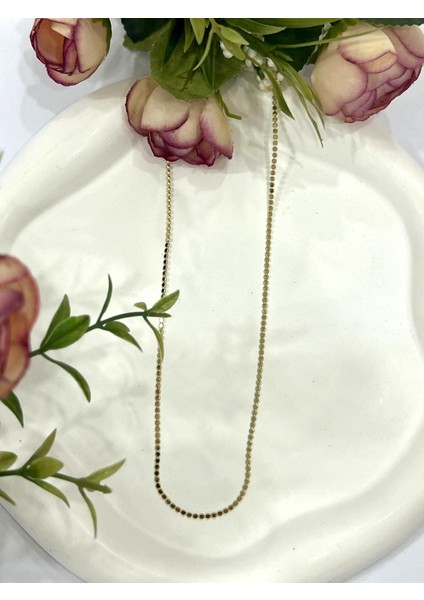 Ezme Ince Zincir Çelik Kolye (14K Gold - 60CM)