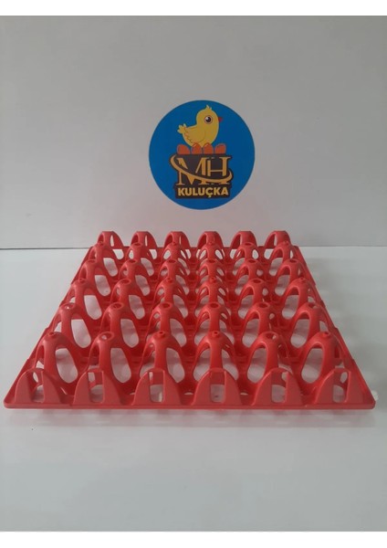 Plastik Yumurta Viyolü 30 Yumurta ( 4 Adet)